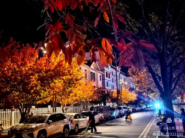 宕昌县城深秋夜色美